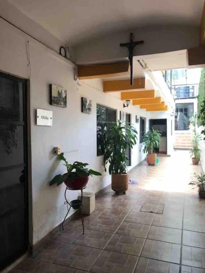 Апартаменты Cute Apart Excellently Located Oaxaca Экстерьер фото